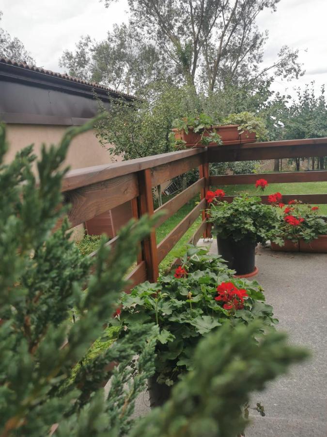 Celeste House Hermannstadt Exterior foto